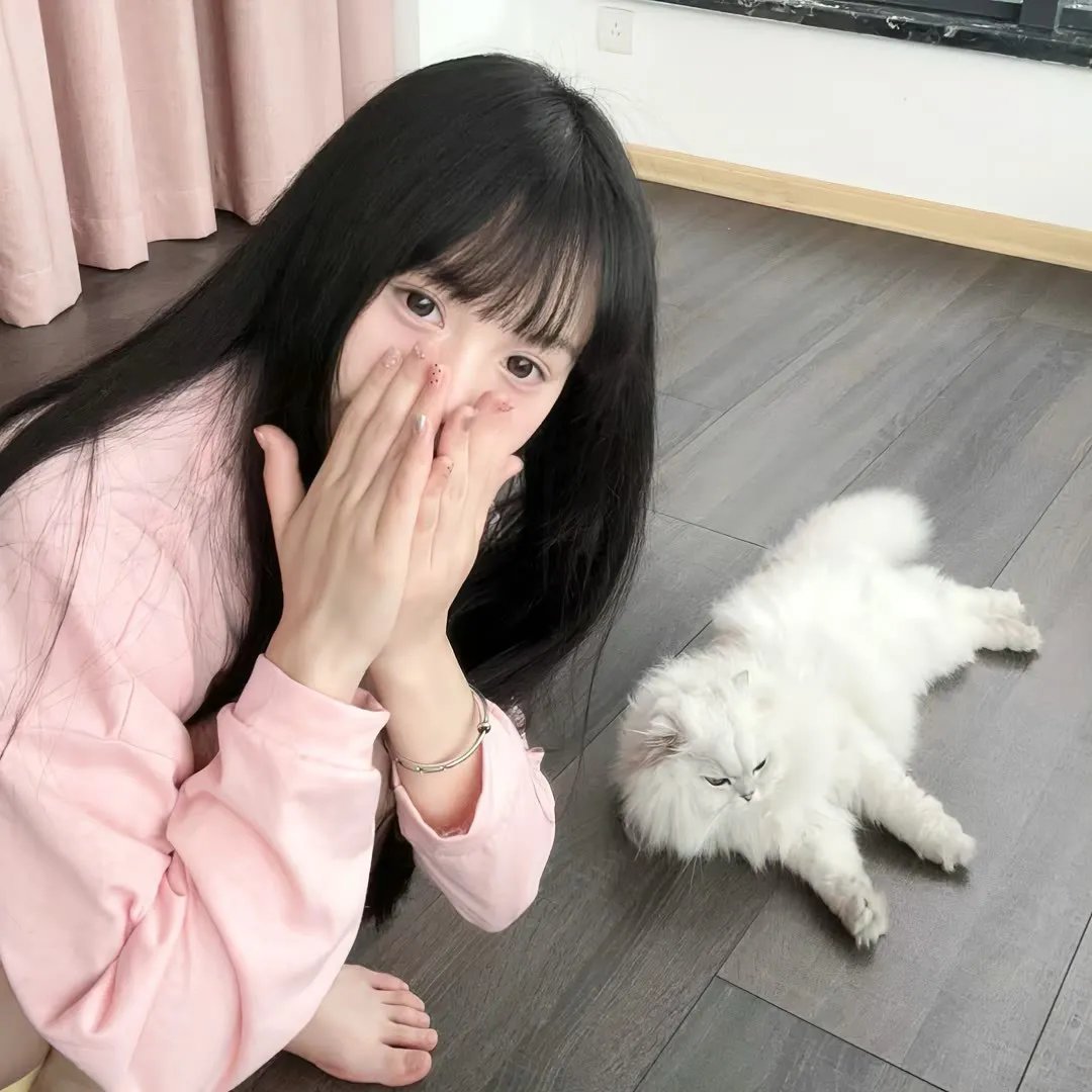 黄金鸟